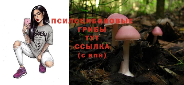 крисы Беломорск