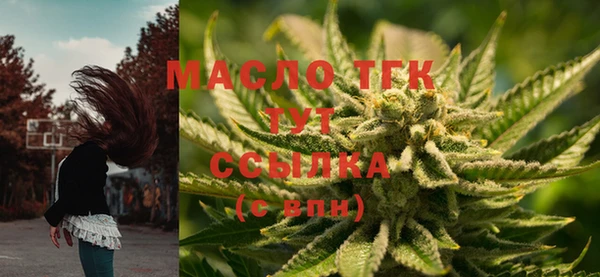 крисы Беломорск