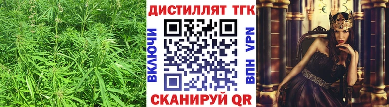 мега как зайти  Володарск  ТГК концентрат 